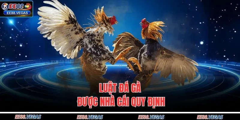 Luật đá gà được nhà cái quy định