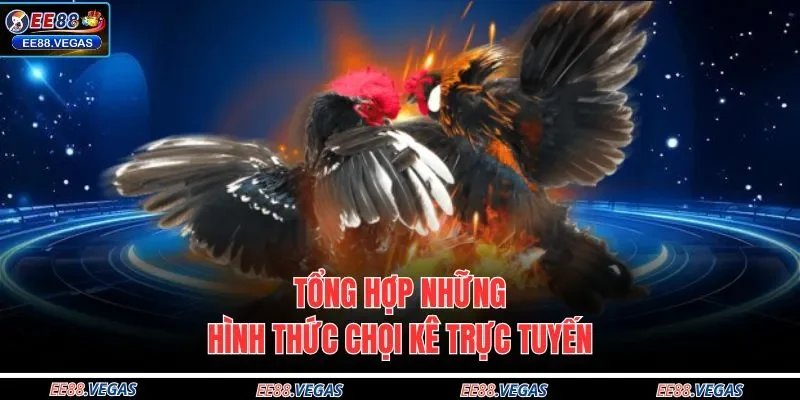 Tổng hợp những hình thức chọi kê trực tuyến